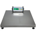 Floor Scale